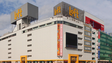 ふんわりルームブラ ロフト